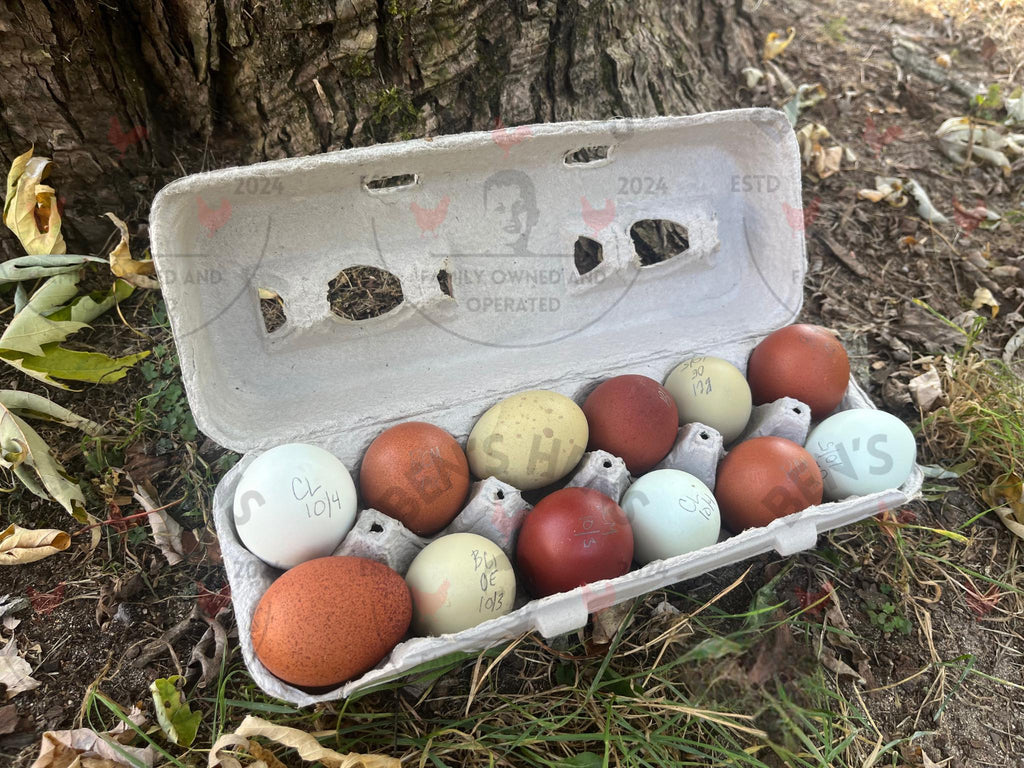 Janelle's Colorful Carton