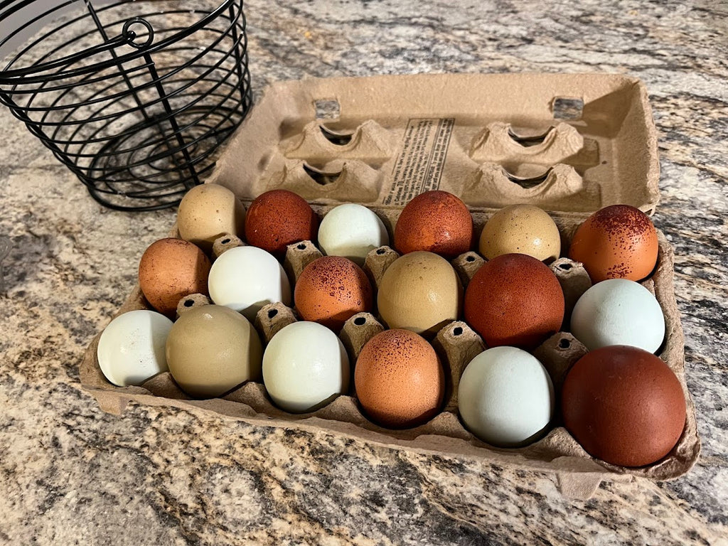 Janelle's Colorful Carton